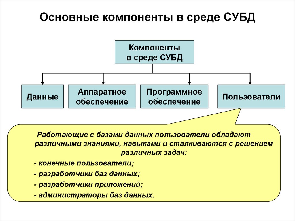 Основные компоненты в среде СУБД