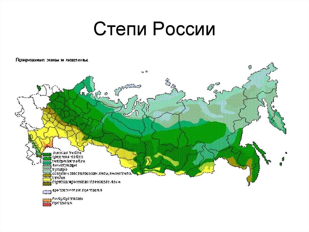 Степи России