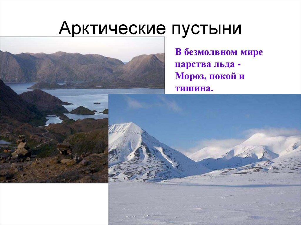Арктические пустыни