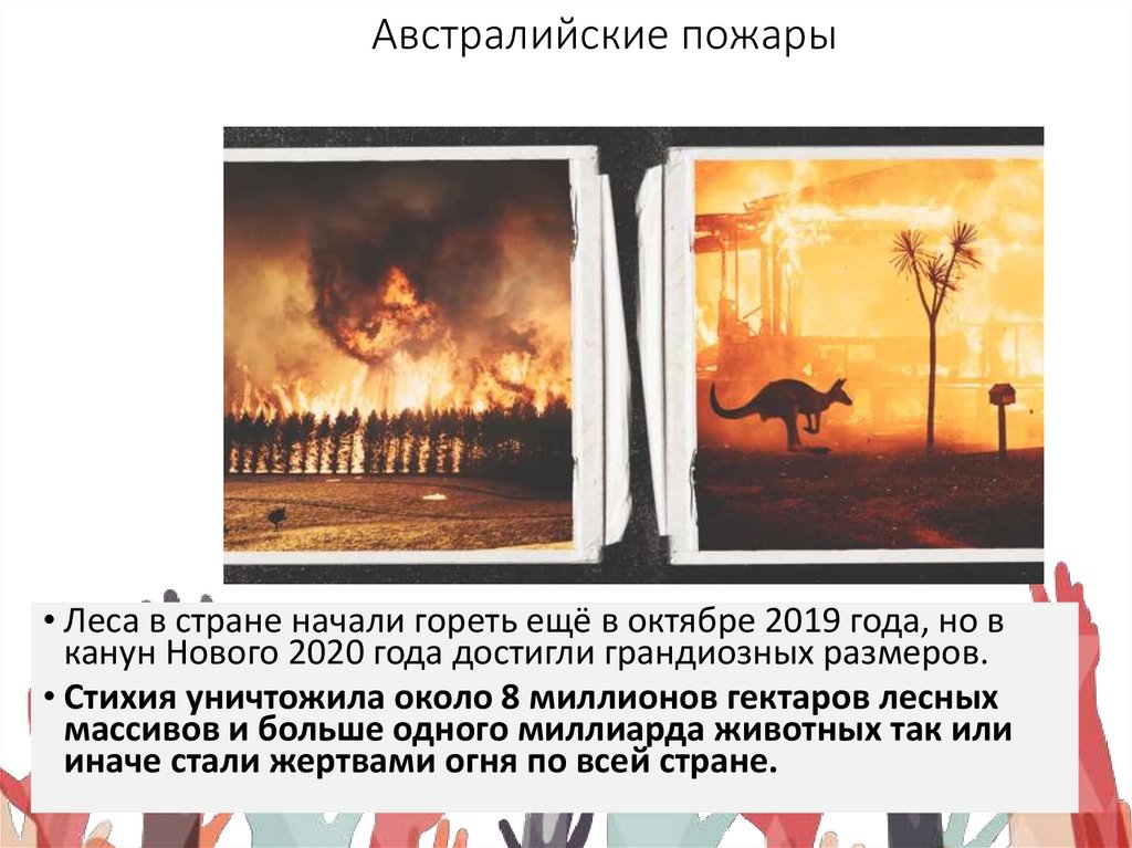 Австралийские пожары