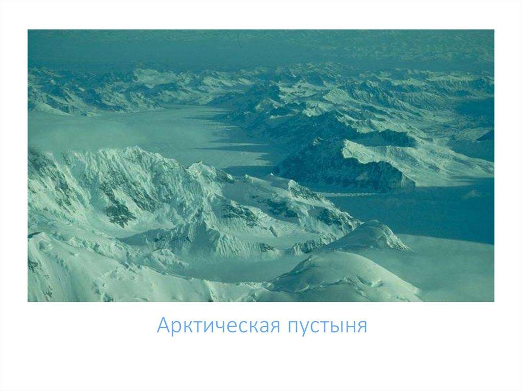 Арктическая пустыня