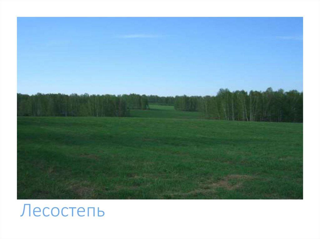 Лесостепь