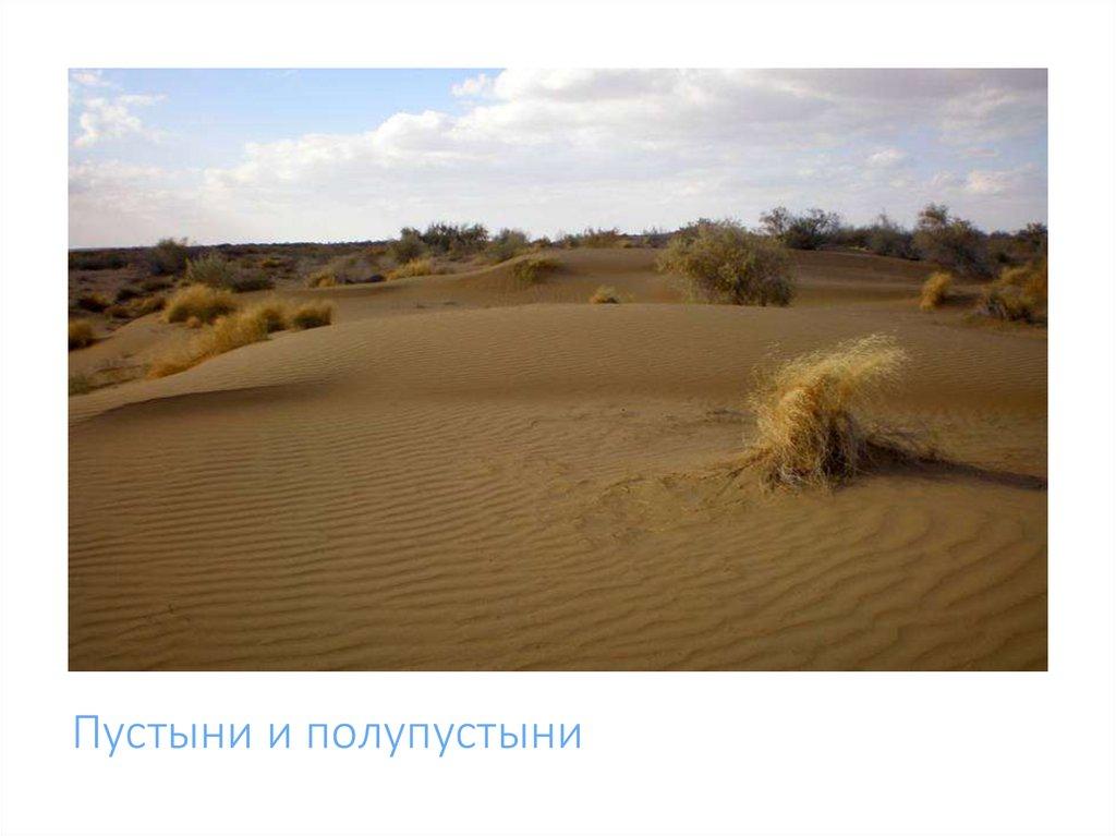 Пустыни и полупустыни