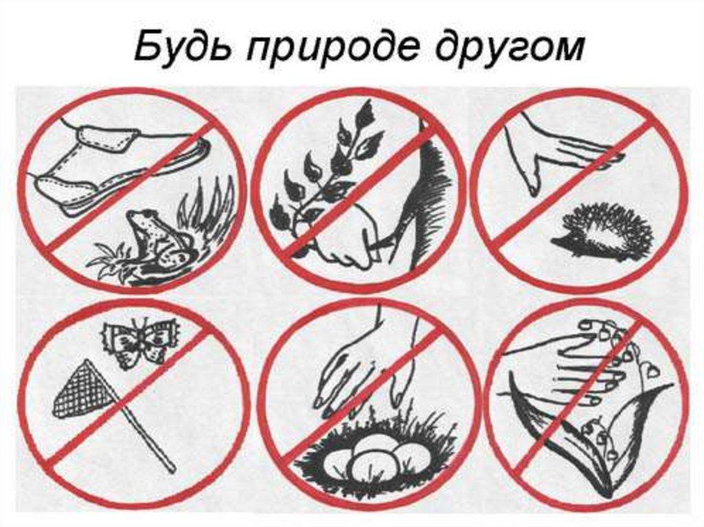 Будь природе другом!