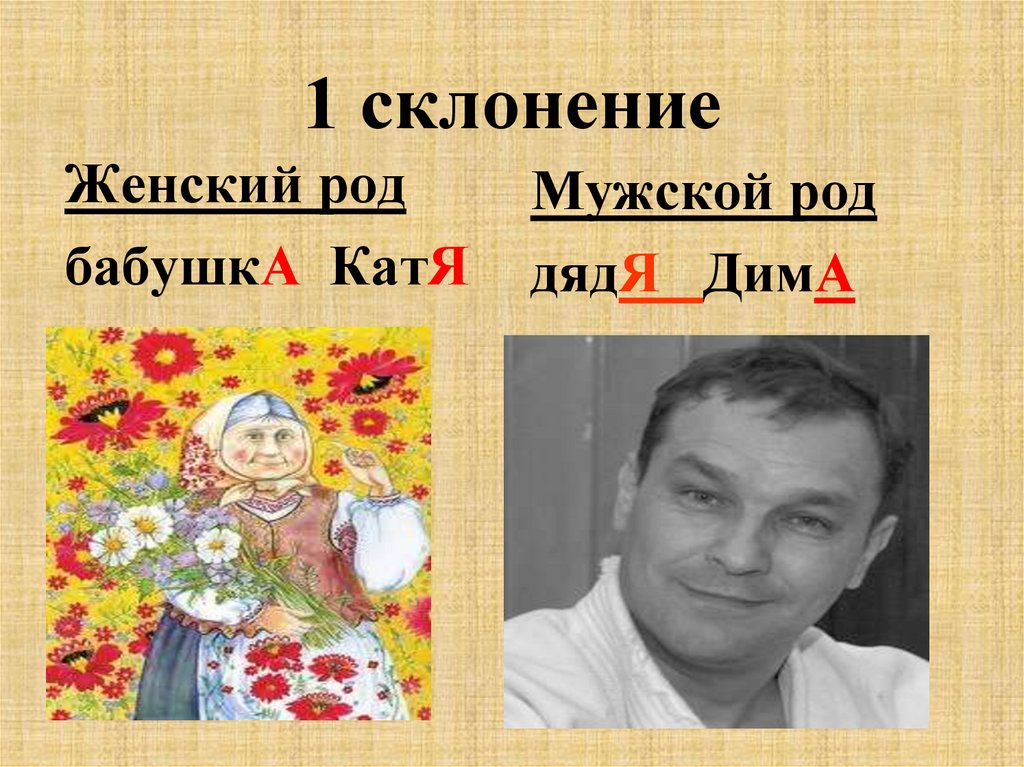 1 склонение