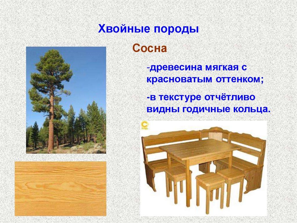 Хвойные породы