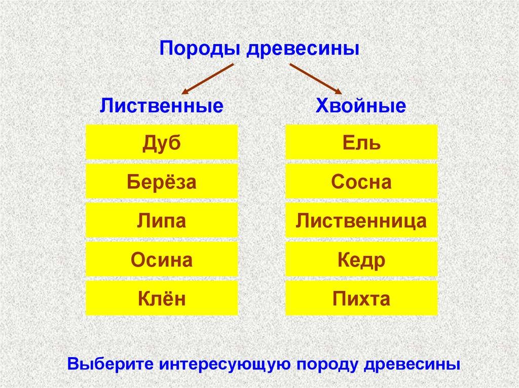 Породы древесины