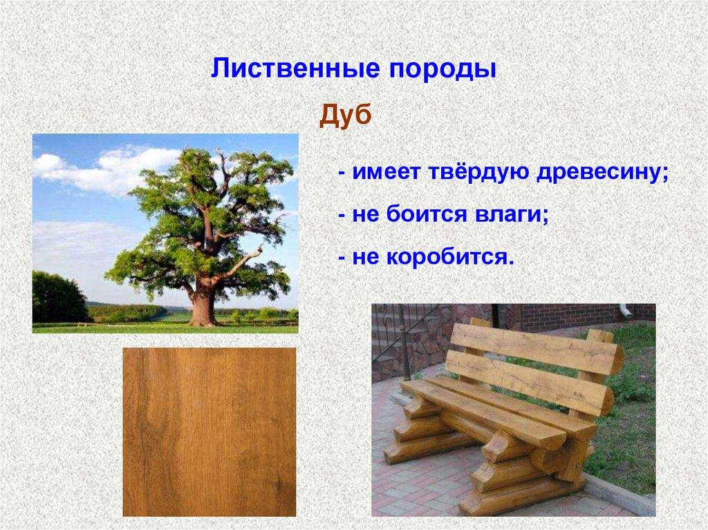 Лиственные породы