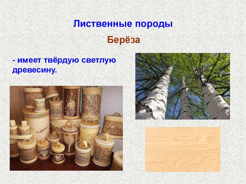 Лиственные породы