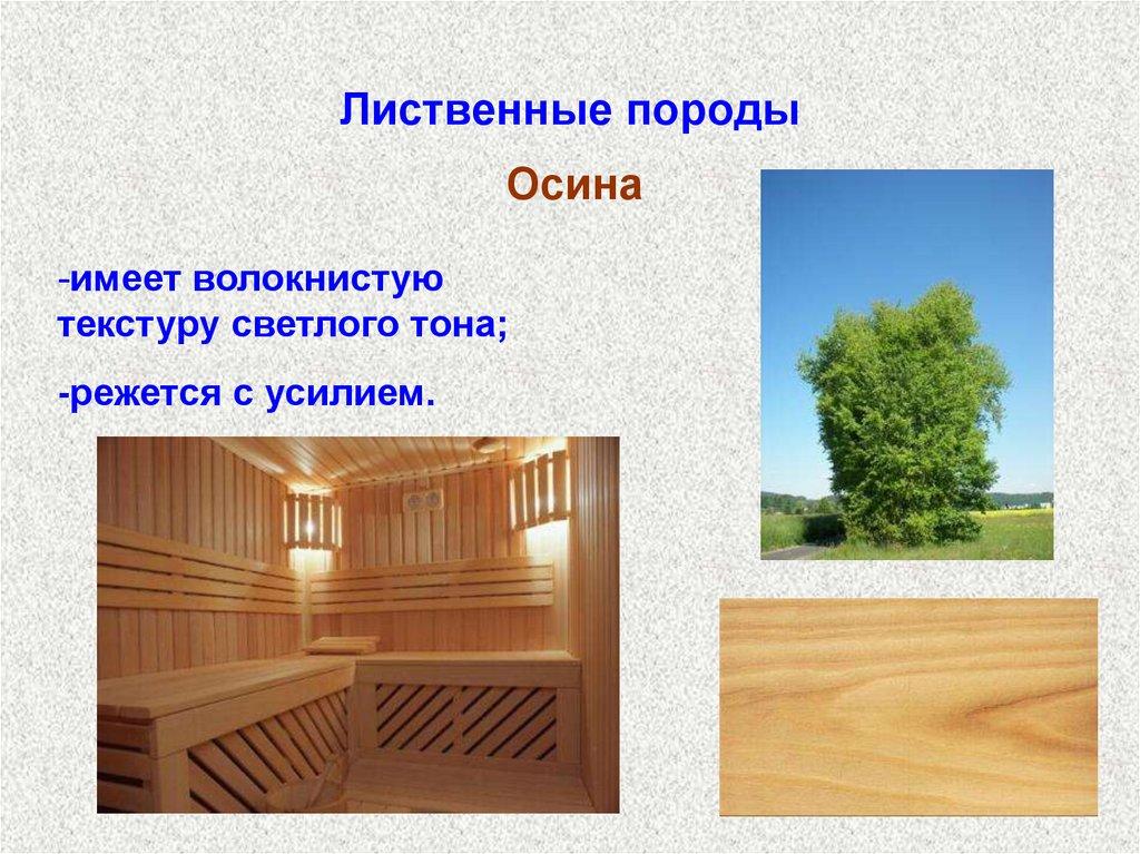 Лиственные породы