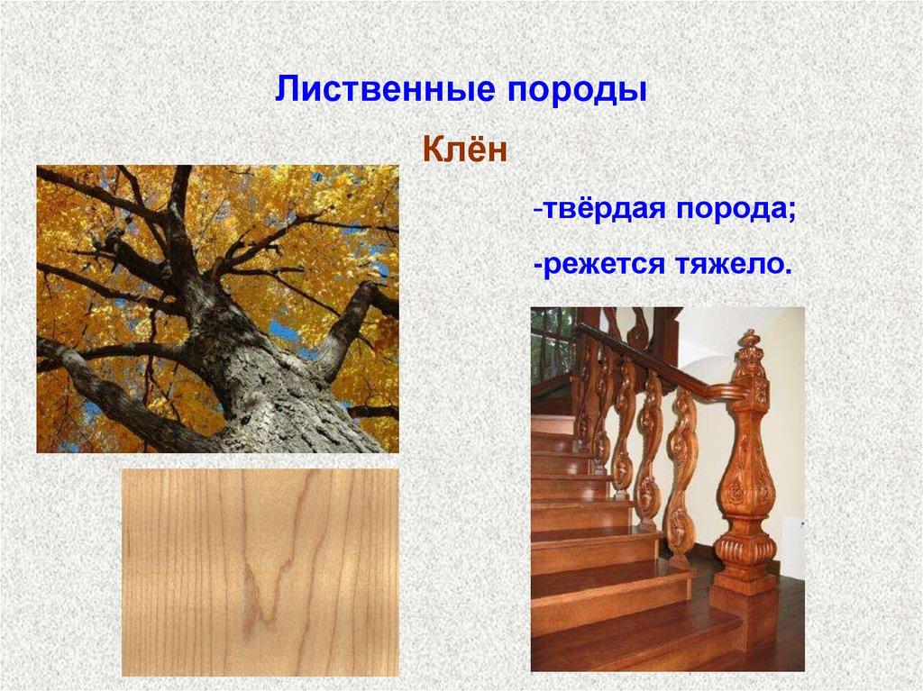Лиственные породы