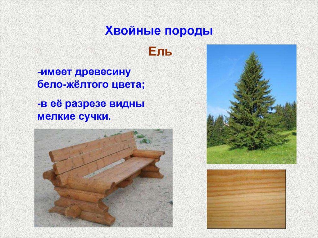 Хвойные породы