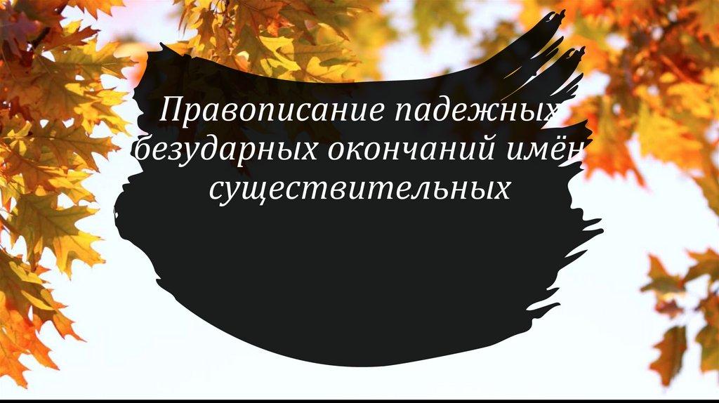 Правописание падежных безударных окончаний имён существительных