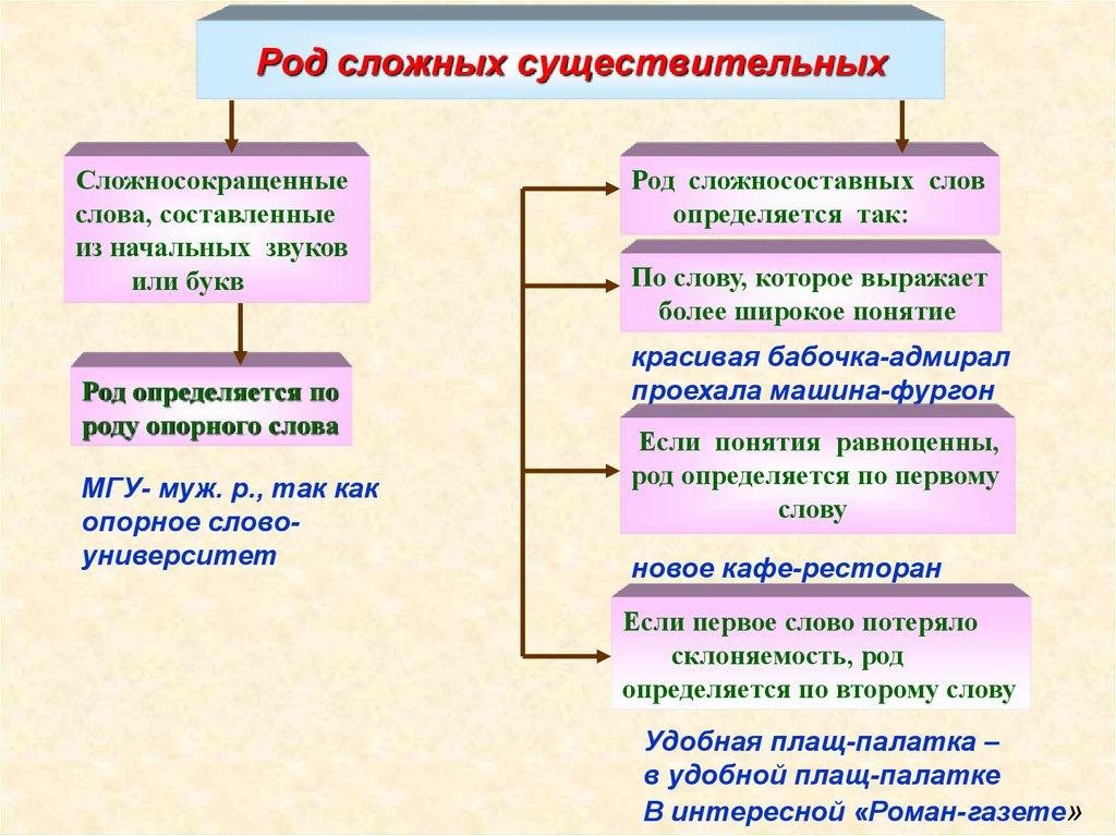 Род сложных существительных
