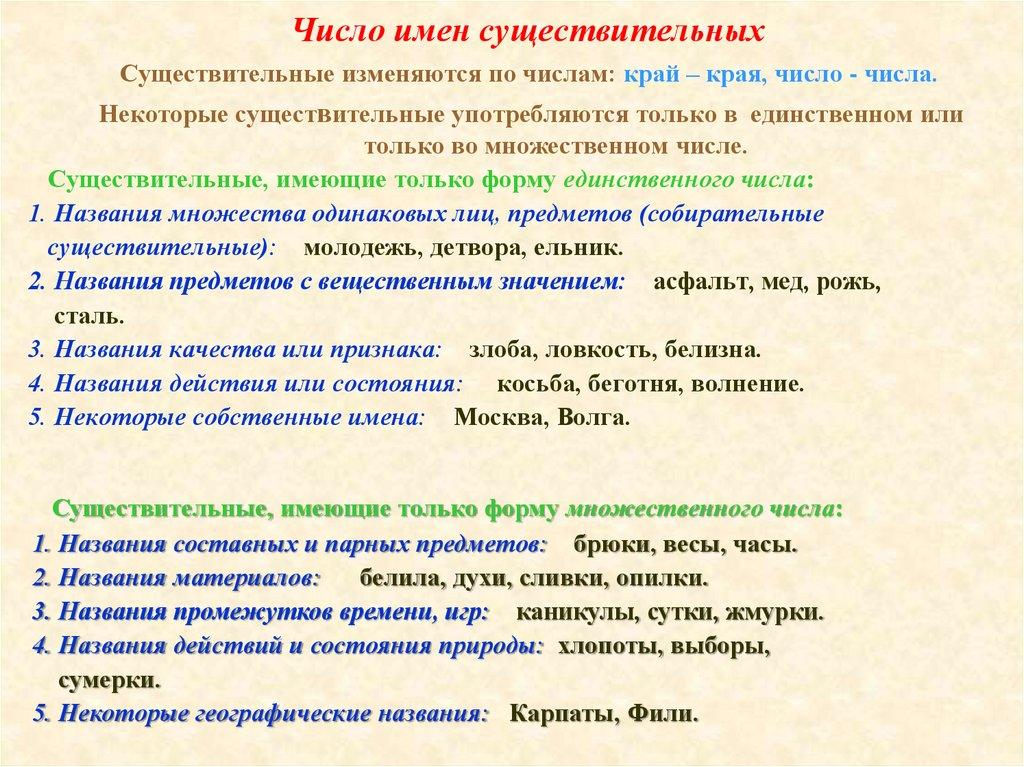 Число имен существительных