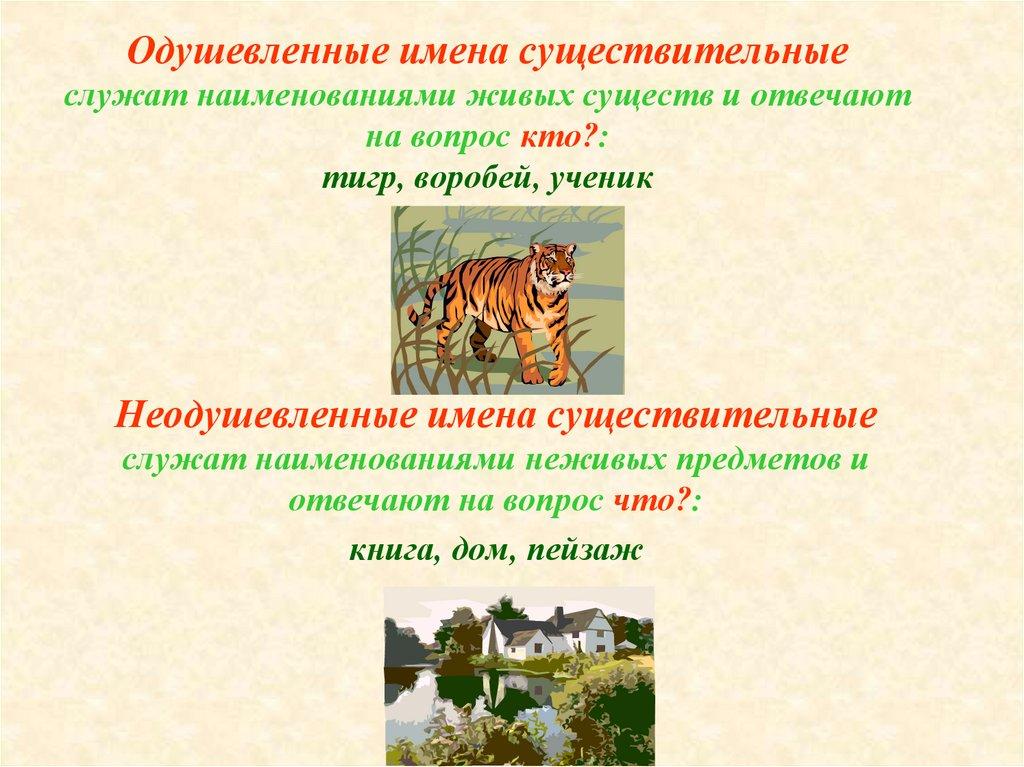 Одушевленные имена существительные служат наименованиями живых существ и отвечают на вопрос кто?: тигр, воробей, ученик
