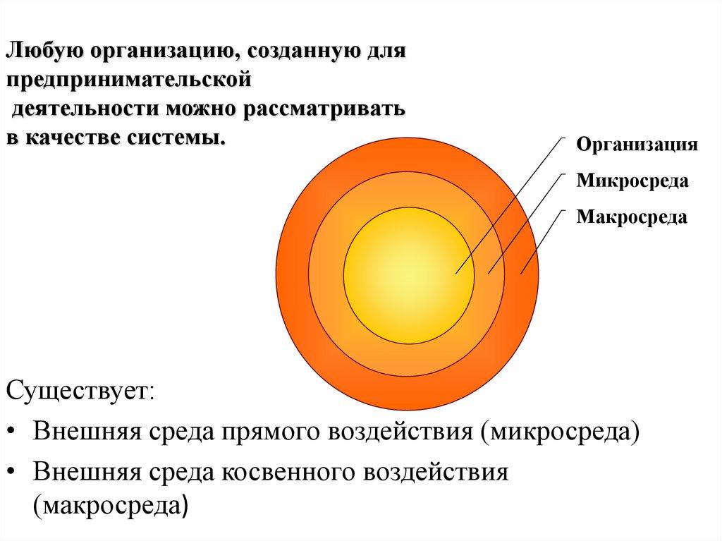 Любую организацию, созданную для предпринимательской деятельности можно рассматривать в качестве системы.