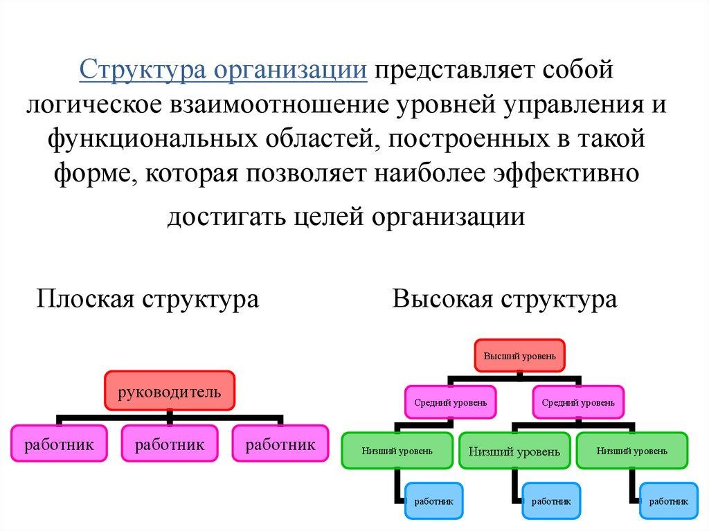 Структура организации представляет собой логическое взаимоотношение уровней управления и функциональных областей, построенных в