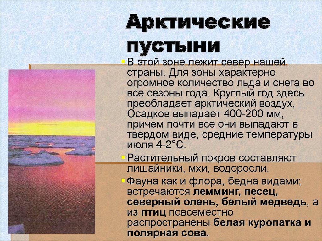 Арктические пустыни