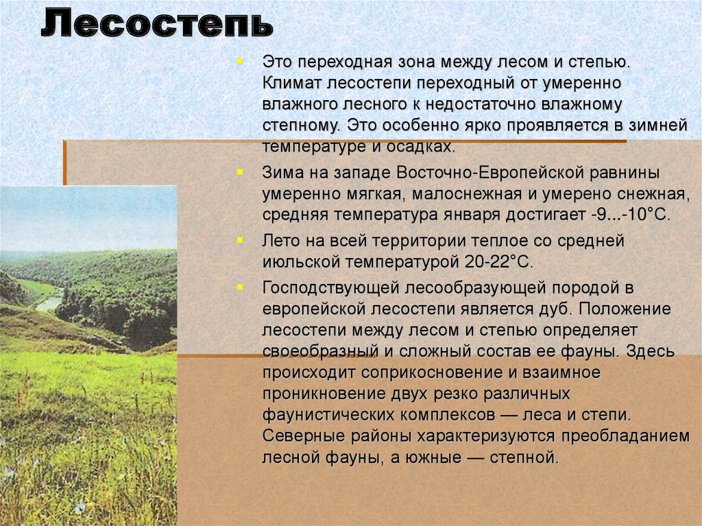 Лесостепь