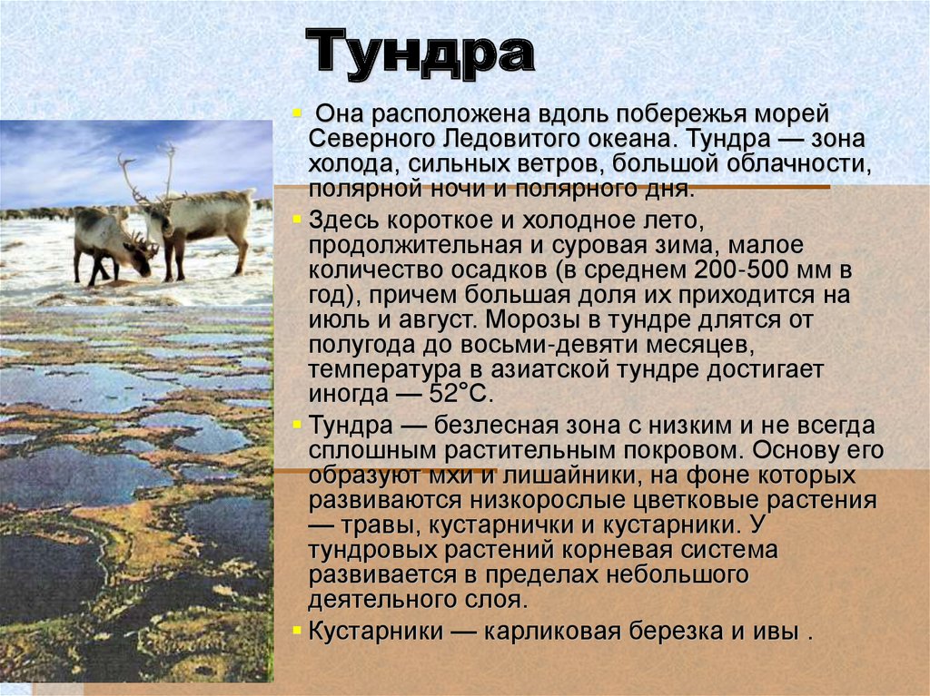 Тундра