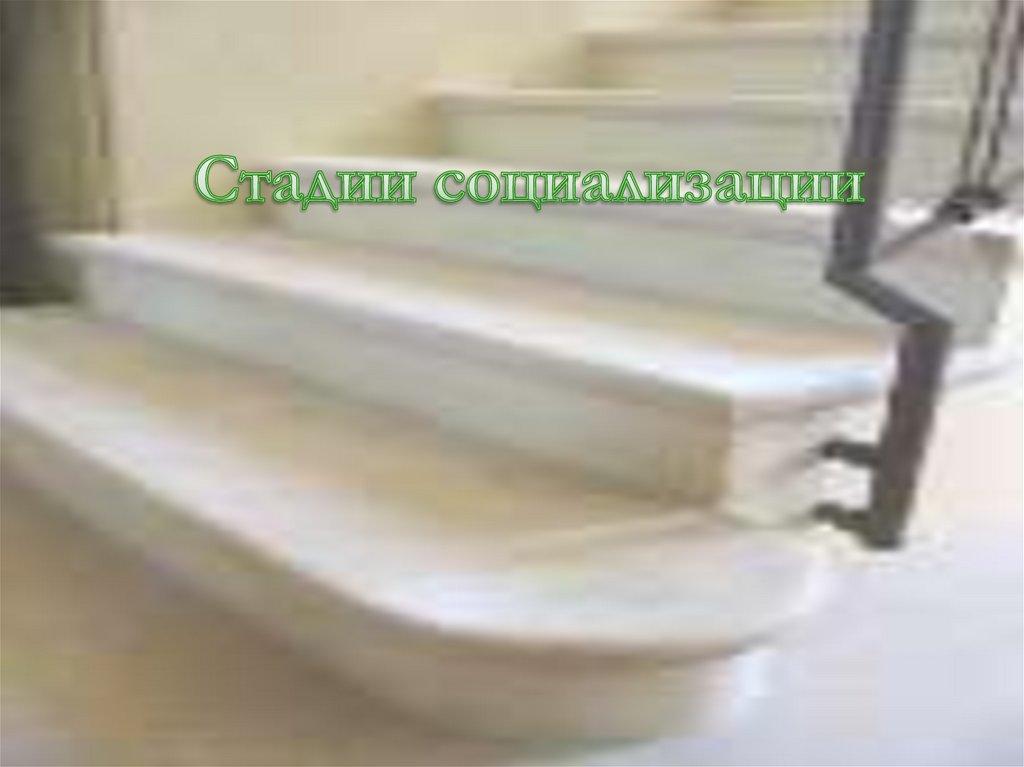 Стадии социализации