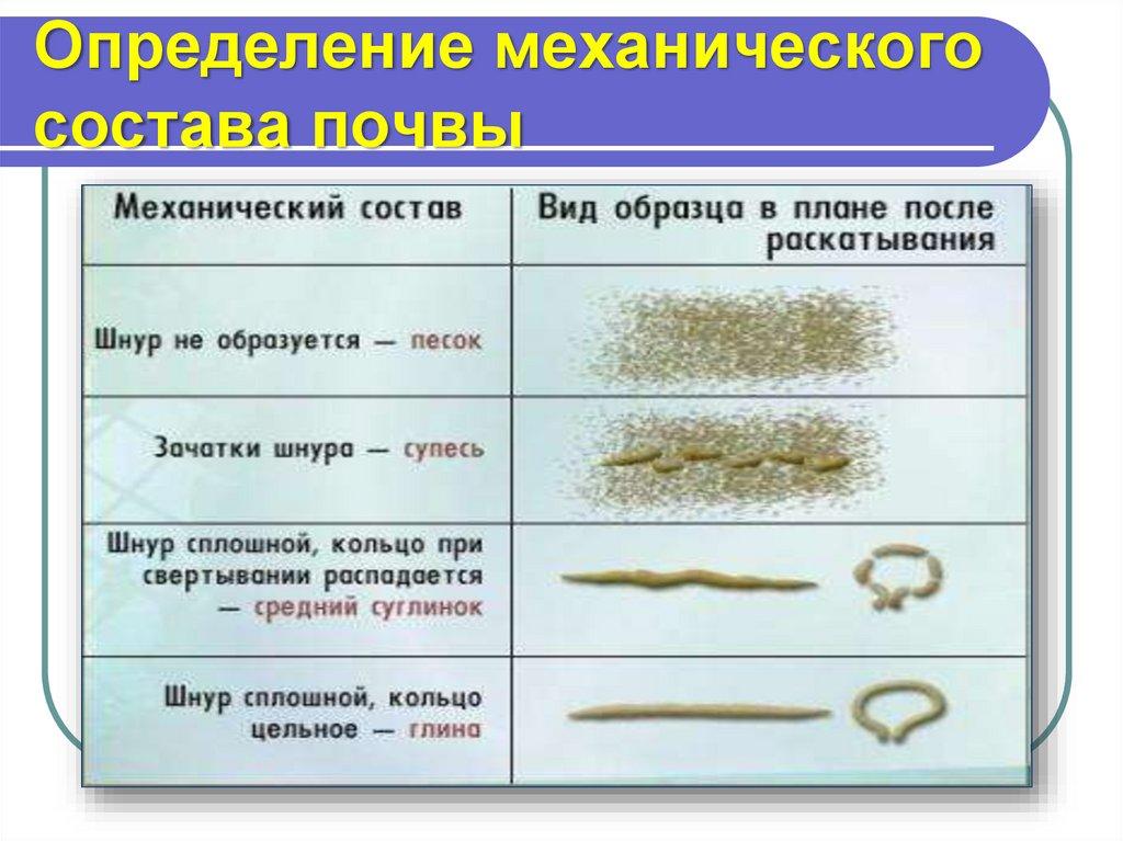 Определение механического состава почвы