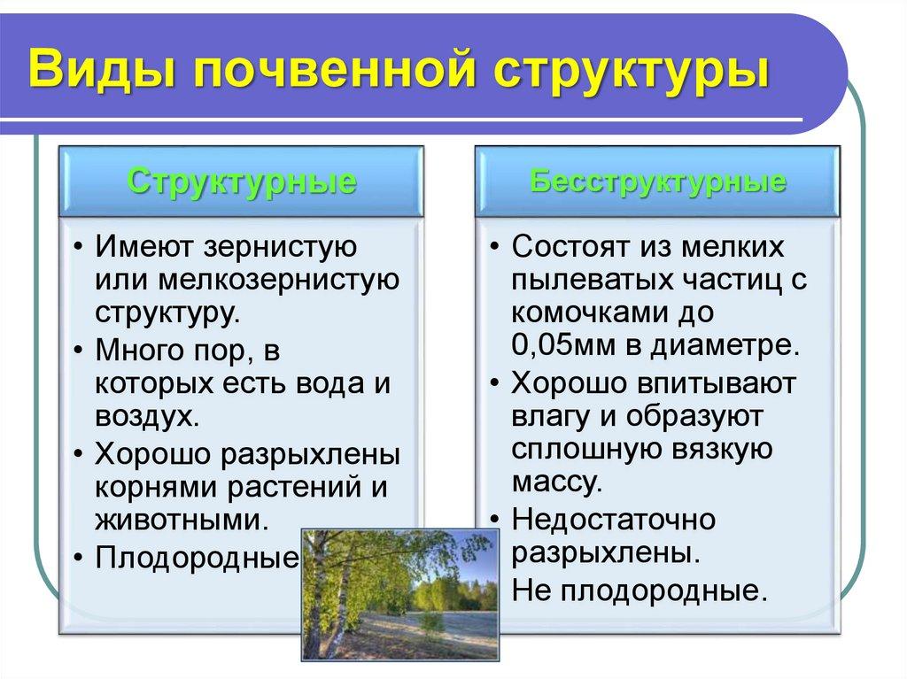 Виды почвенной структуры
