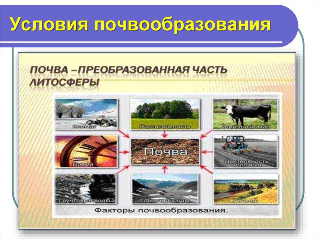 Условия почвообразования