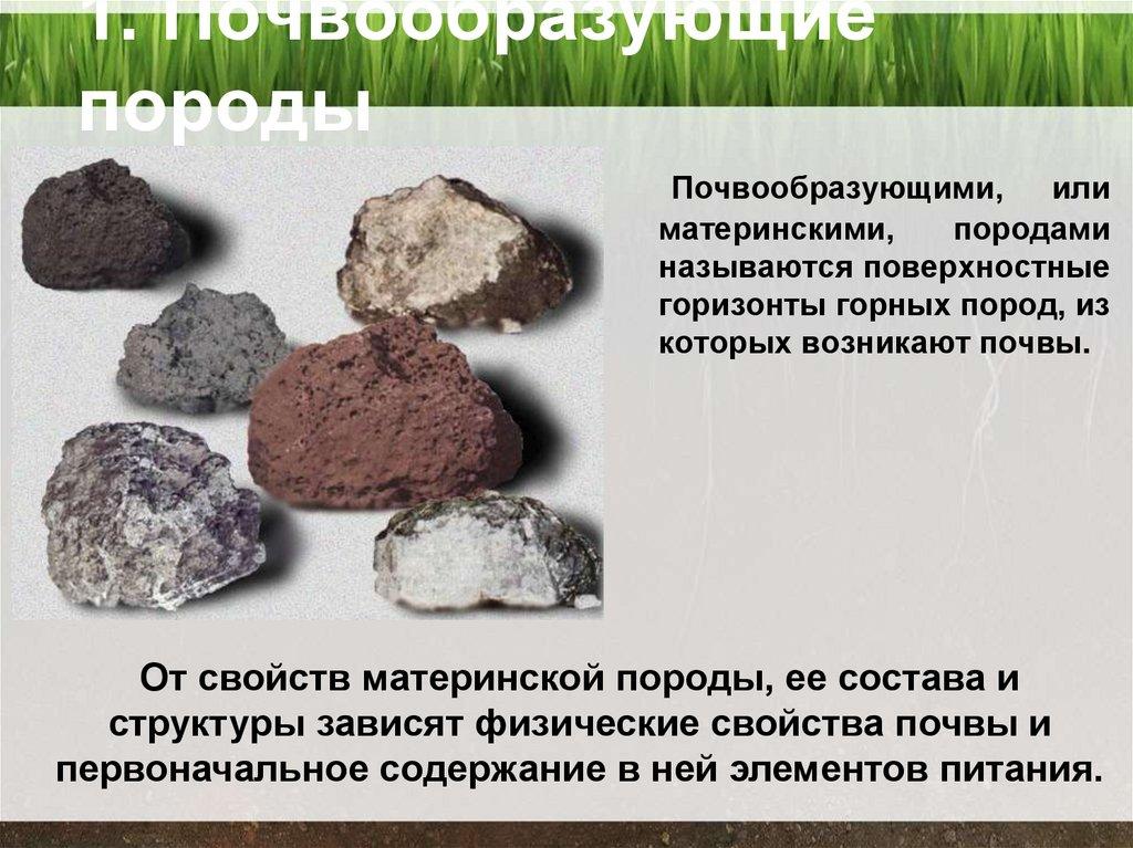 1. Почвообразующие породы