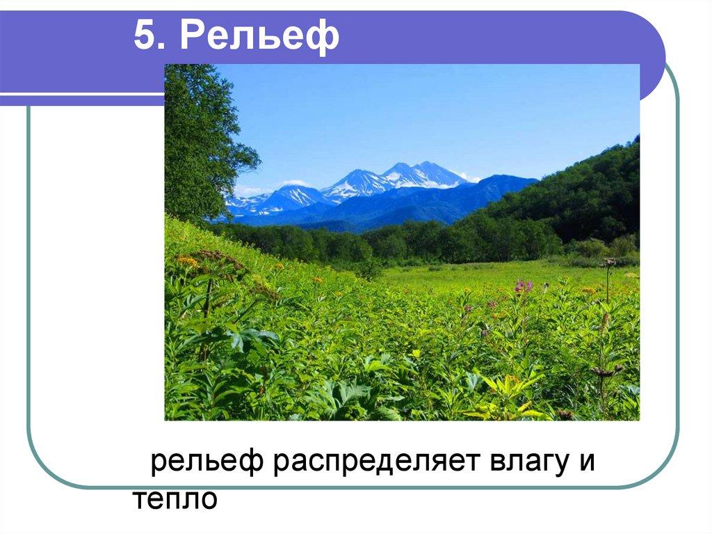 5. Рельеф