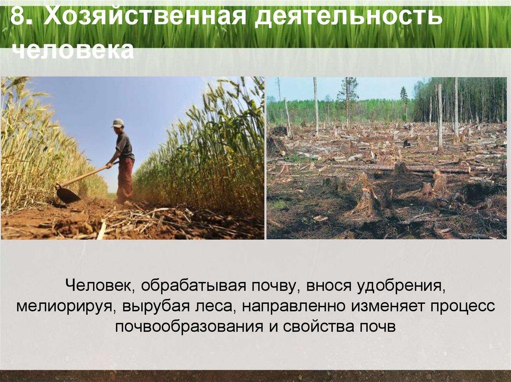 8. Хозяйственная деятельность человека