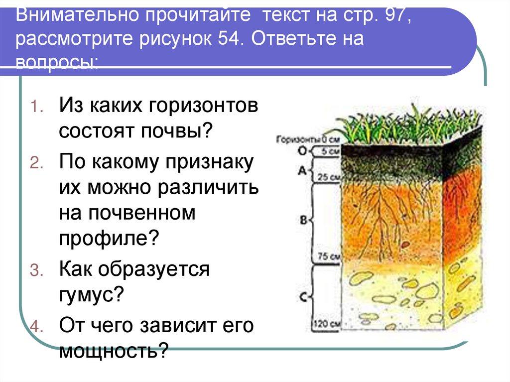 Внимательно прочитайте текст на стр. 97, рассмотрите рисунок 54. Ответьте на вопросы: