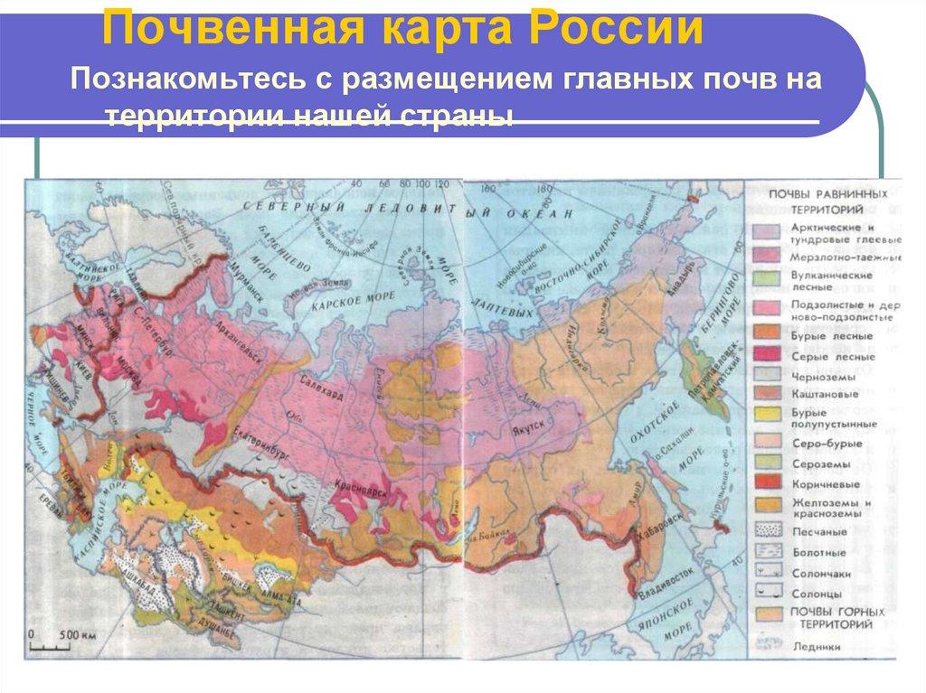 Почвенная карта России