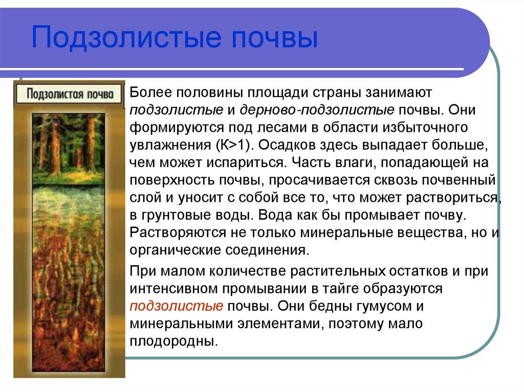 Подзолистые почвы