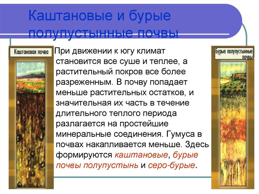 Каштановые и бурые полупустынные почвы