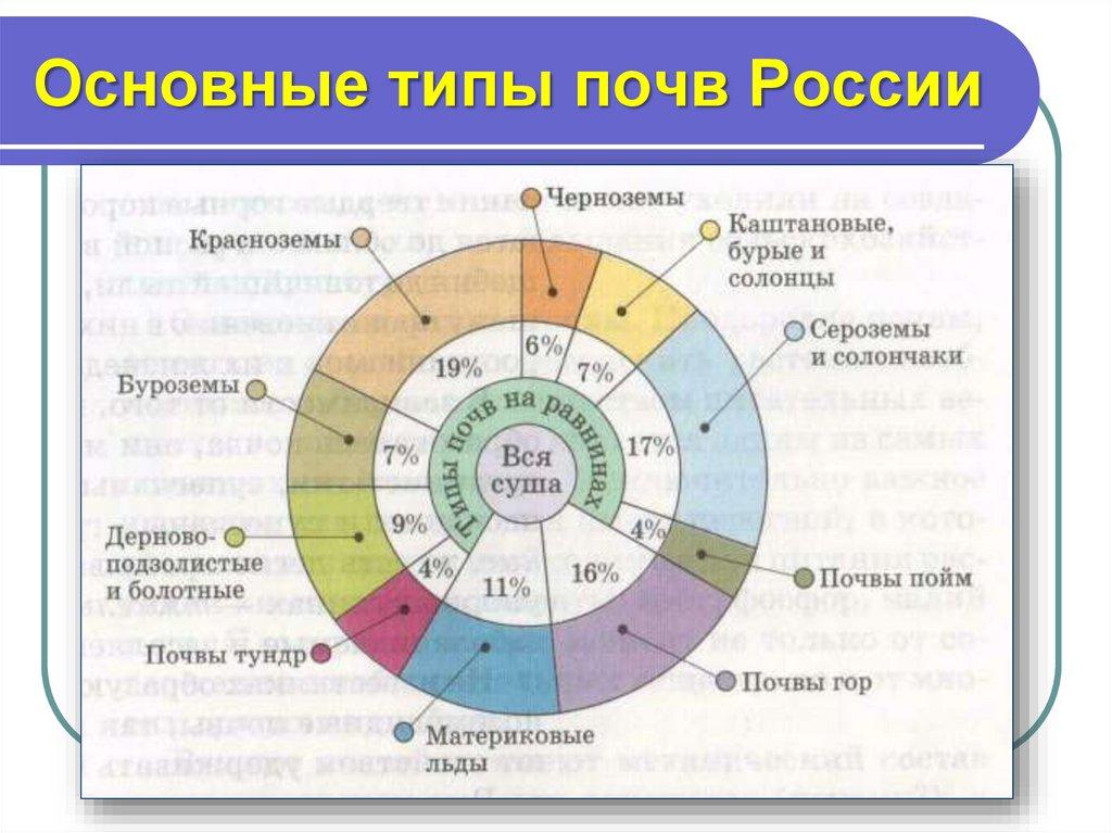 Основные типы почв России