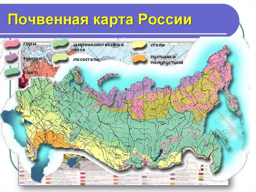 Почвенная карта России