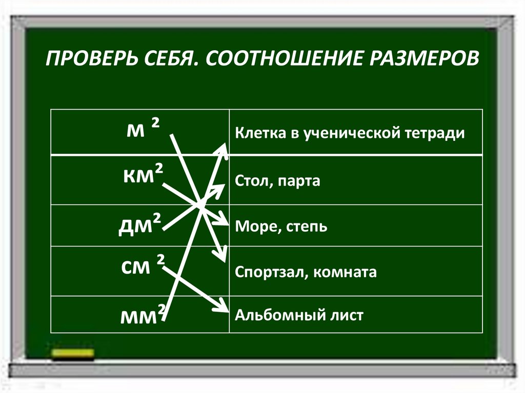 ПРОВЕРЬ СЕБЯ. СООТНОШЕНИЕ РАЗМЕРОВ