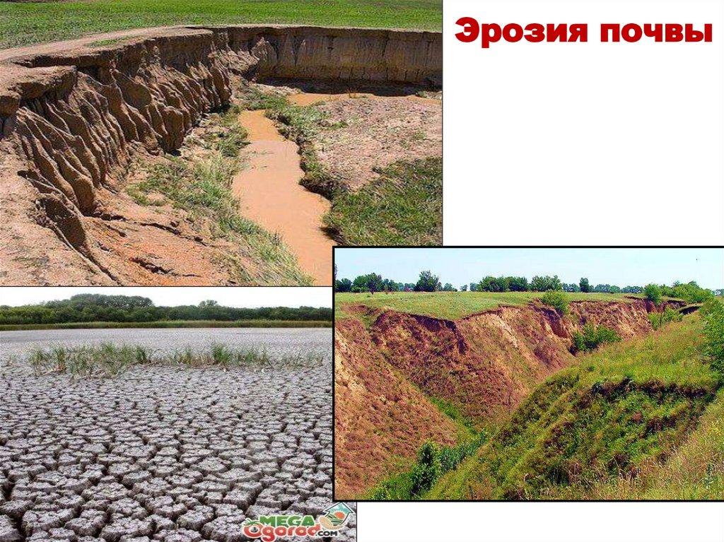 Эрозия почвы