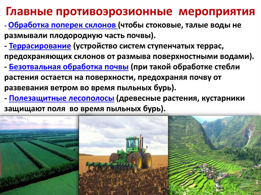 Главные противоэрозионные мероприятия