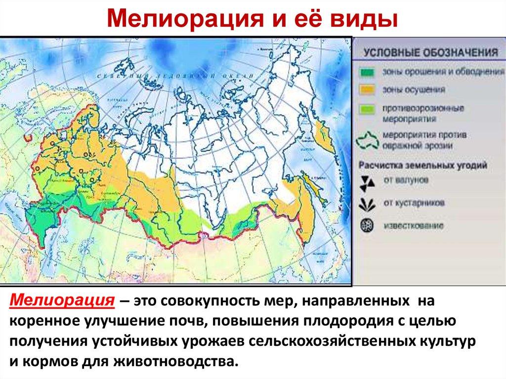 Мелиорация и её виды