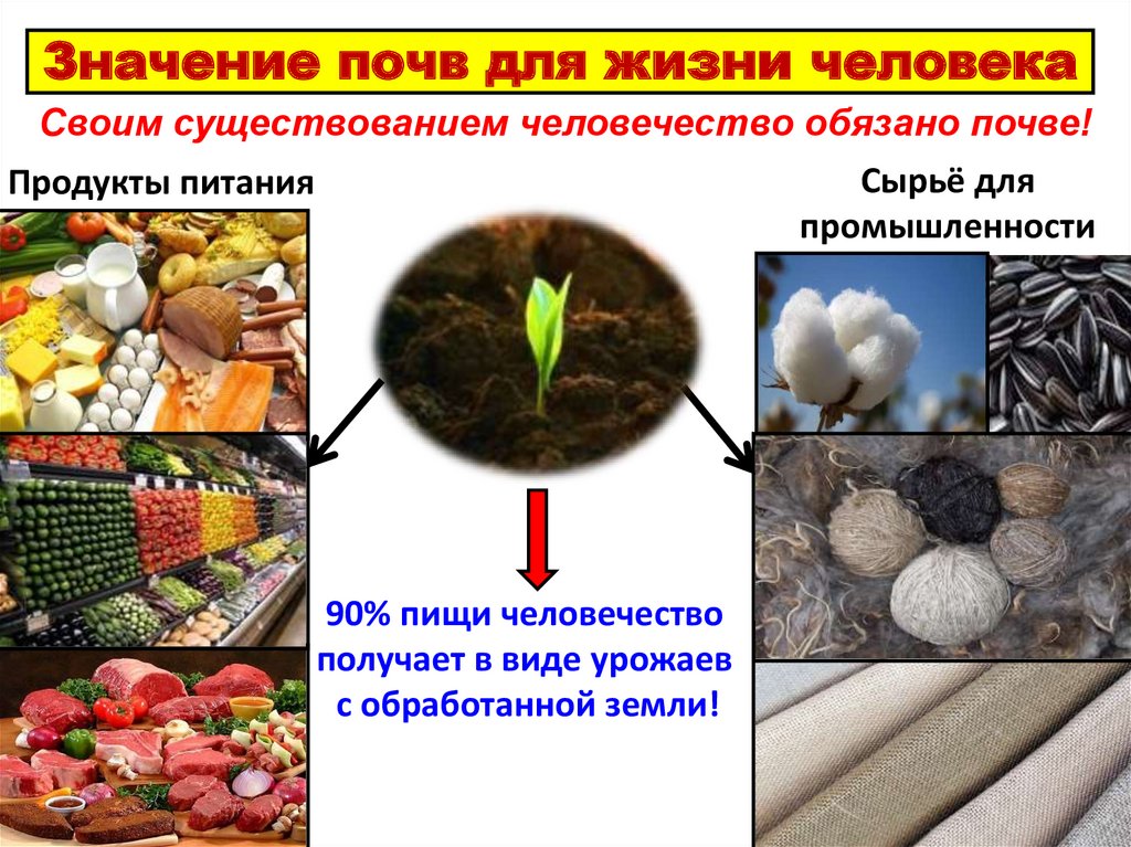 Значение почв для жизни человека