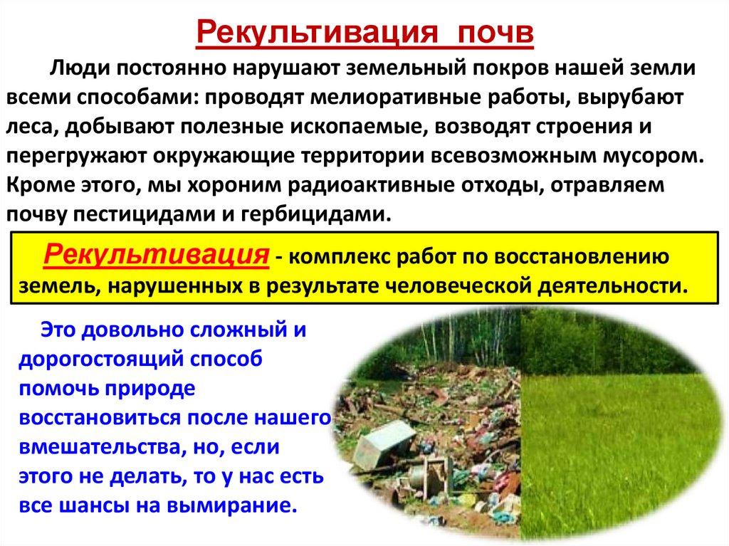 Рекультивация почв