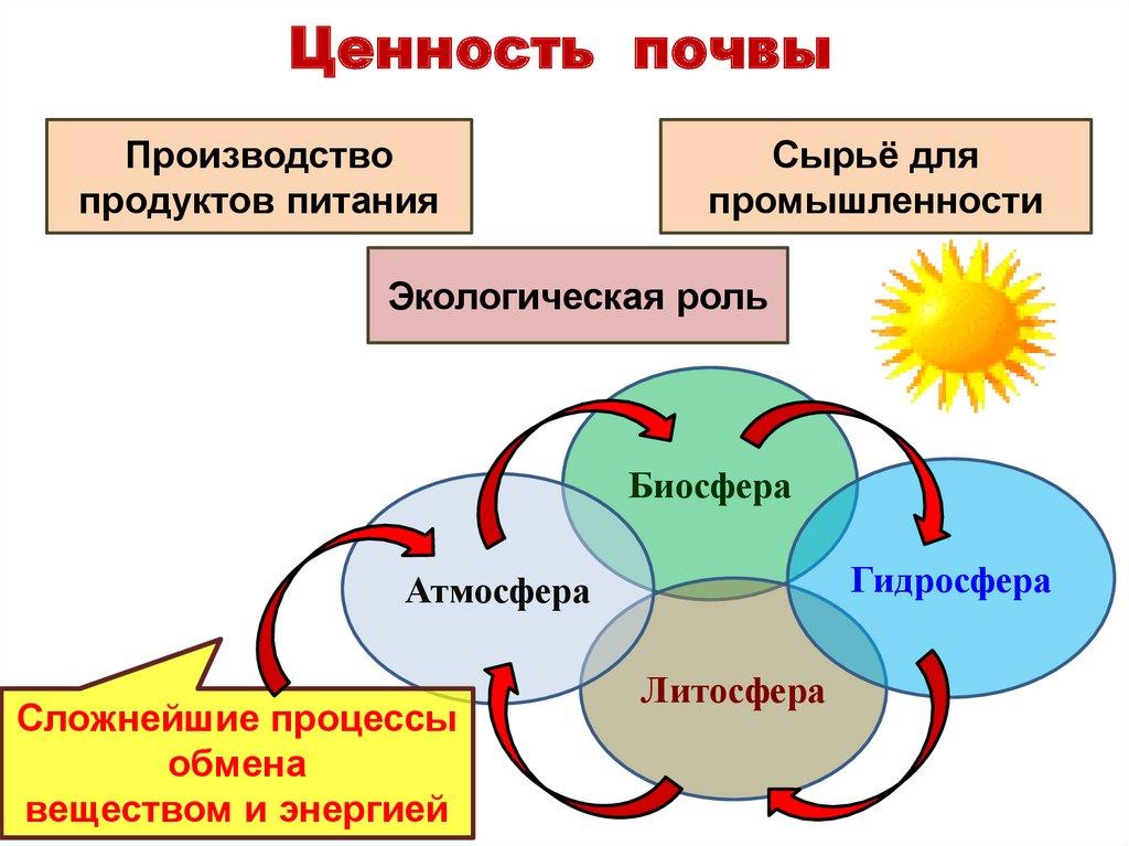 Ценность почвы