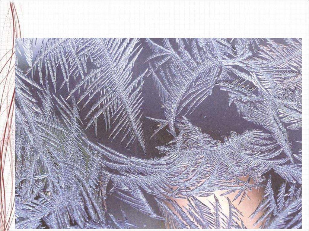 Морозные узоры превращают стекла окон в сказочные картины, на которых можно рассмотреть невиданные цветы, деревья и даже