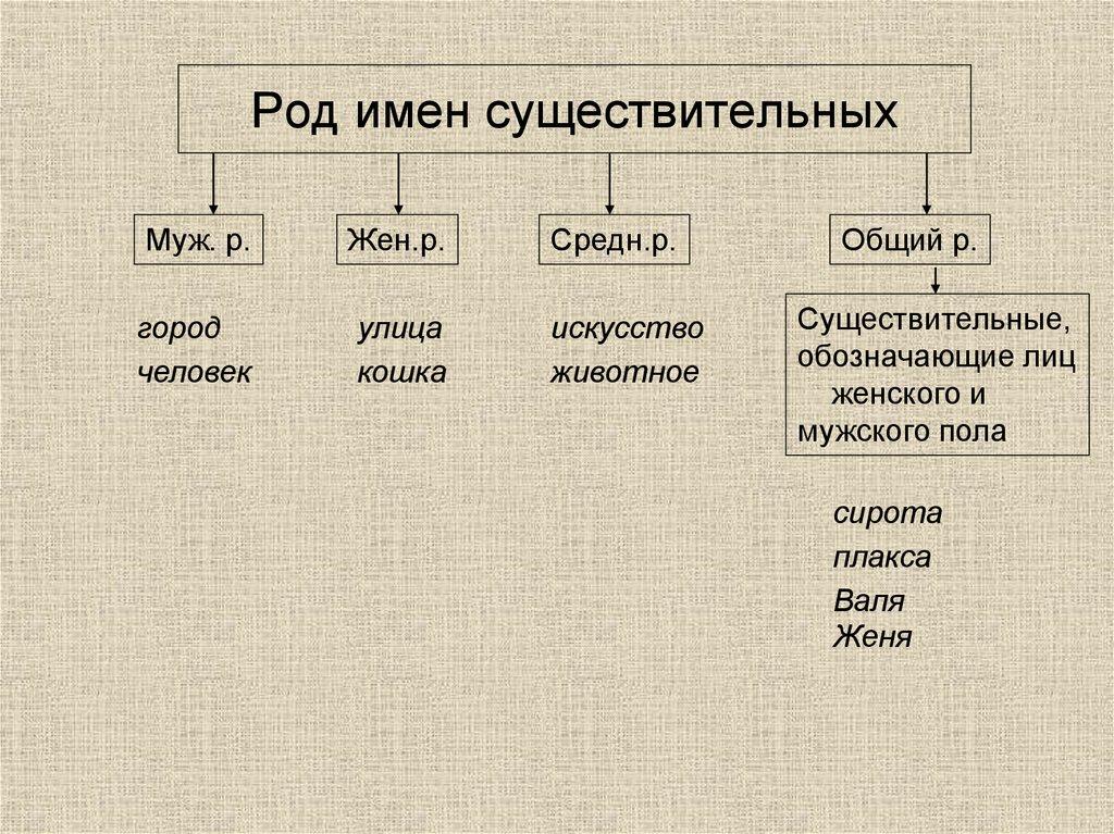 Род имен существительных