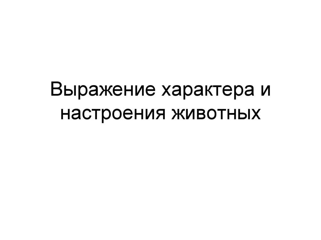 Выражение характера и настроения животных