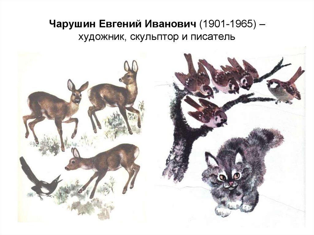 Чарушин Евгений Иванович (1901-1965) – художник, скульптор и писатель