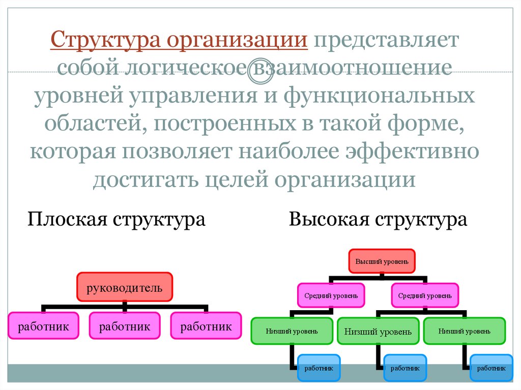 Структура организации представляет собой логическое взаимоотношение уровней управления и функциональных областей, построенных в